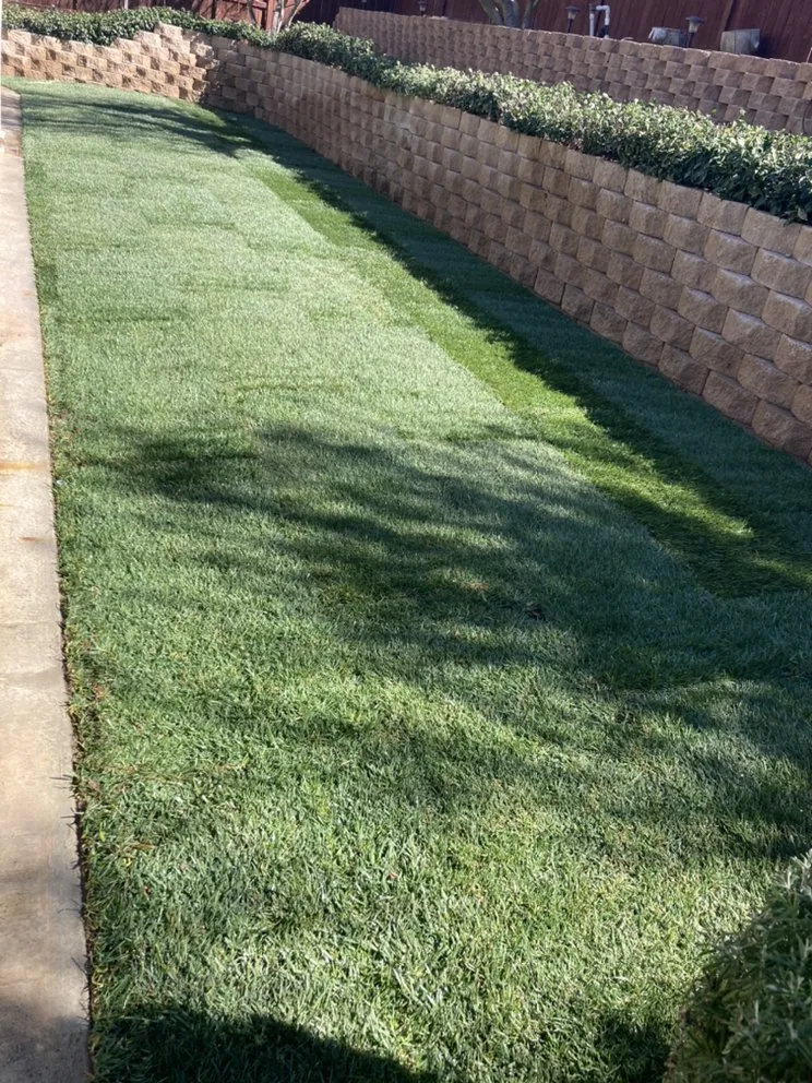 Custom lawn mowing service for residential properties across Perris, CA - MH Landscaping