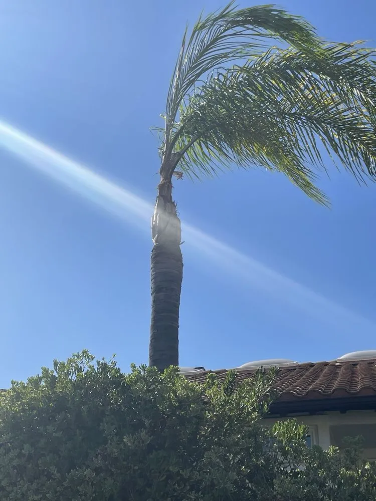 Professional landscape design in Perris, CA by MH Landscaping