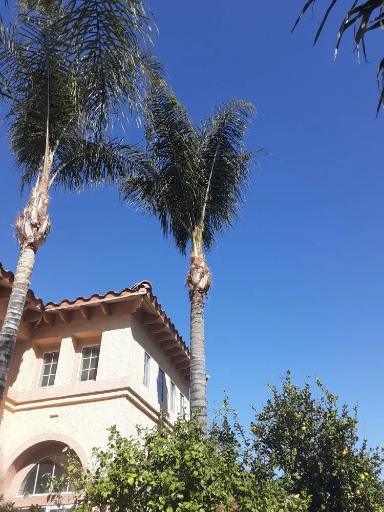 Expert landscape design in Perris, CA by MH Landscaping