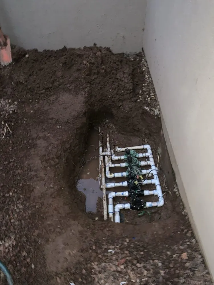 Local landscape installation for year-round maintenance in Phoenix, AZ by MH Landscaping Services