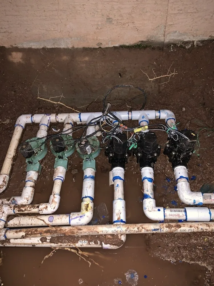 Expert yard cleanup service for residential properties in Phoenix, AZ by MH Landscaping Services