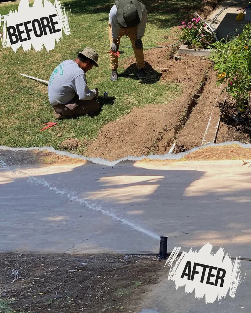 Local lawn care service experts serving Phoenix, AZ - MH Landscaping Services