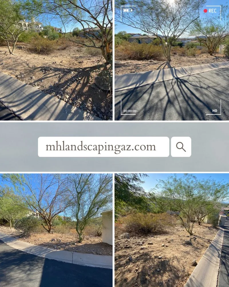 Top-rated outdoor landscaping in Phoenix, AZ - MH Landscaping Services