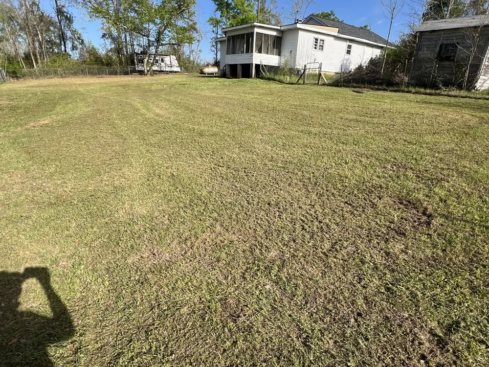 Custom landscaping services in Moundville, AL by MH Lawn Care