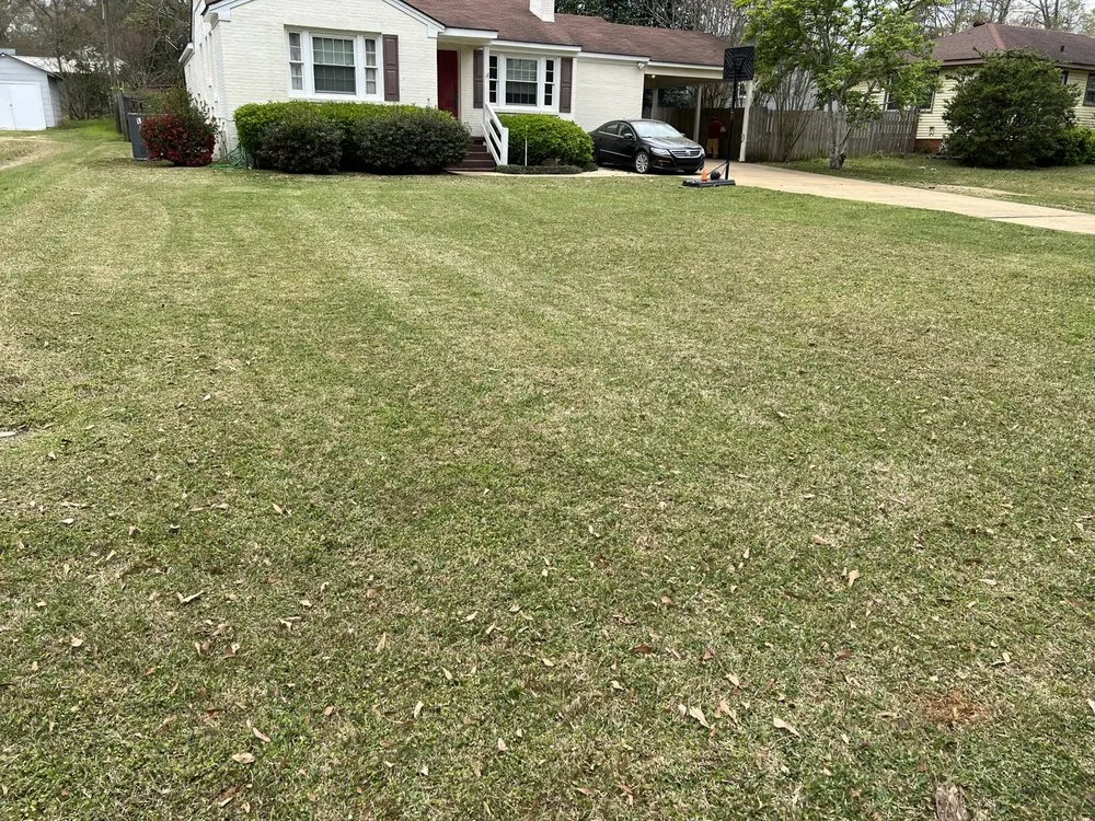 Professional residential landscaping for beautiful yards in Moundville, AL by MH Lawn Care