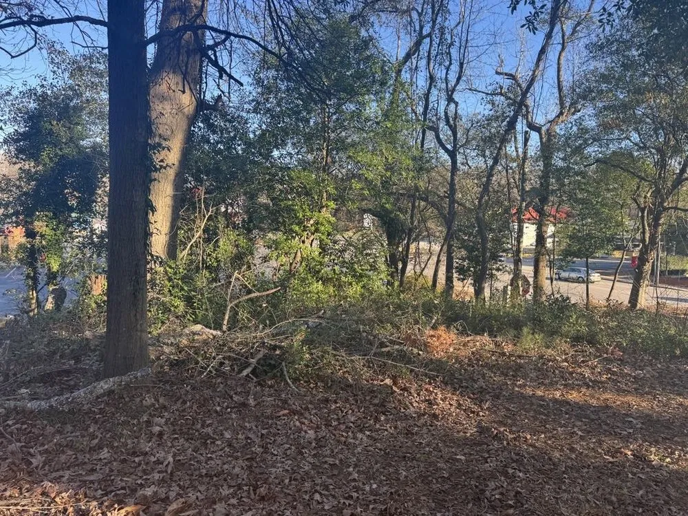 Local landscape installation in Florence, SC - Mh Lawncare And Landscaping