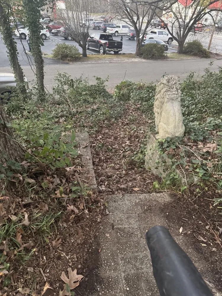 Professional yard maintenance experts serving Florence, SC - Mh Lawncare And Landscaping