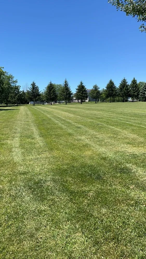 Affordable outdoor landscaping experts serving Princeville, IL - M&H Mowing