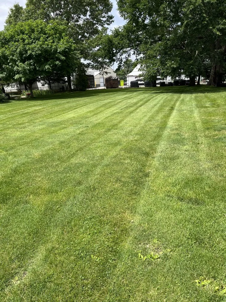 Reliable lawn mowing service near you in Princeville, IL by M&H Mowing