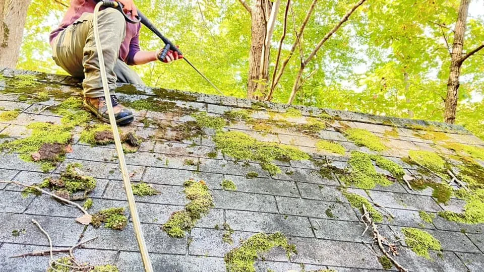 Custom landscape installation for beautiful yards in Manassas, VA by MH Quality Tree Care and Landscaping Service