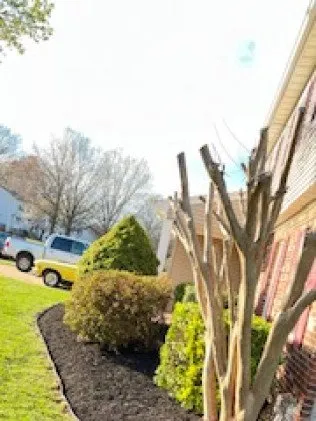 Custom yard cleanup service experts serving Manassas, VA - MH Quality Tree Care and Landscaping Service