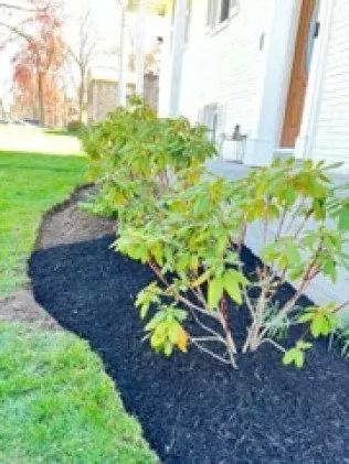Local landscape design experts serving Manassas, VA - MH Quality Tree Care and Landscaping Service