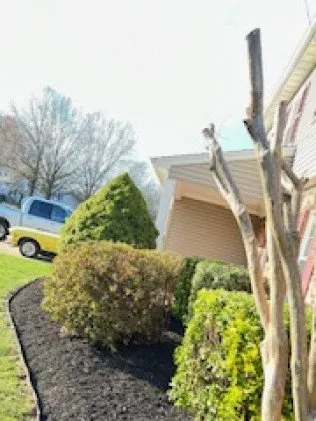 Reliable landscape design for outdoor upgrades in Manassas, VA by MH Quality Tree Care and Landscaping Service