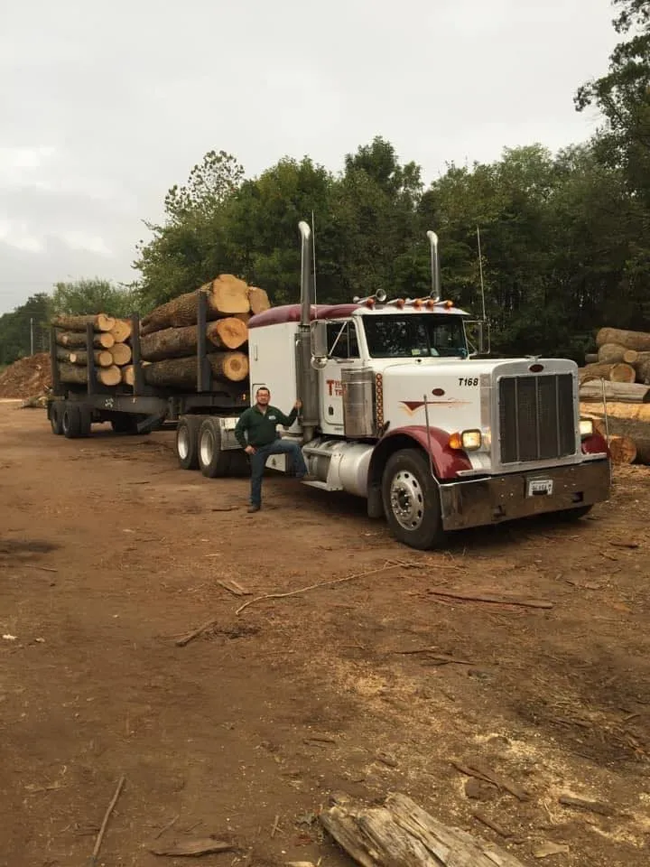 Professional landscape installation for beautiful yards in Manassas, VA by MH Quality Tree Care and Landscaping Service