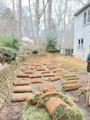 Affordable landscape installation for beautiful yards across Manassas, VA - MH Quality Tree Care and Landscaping Service
