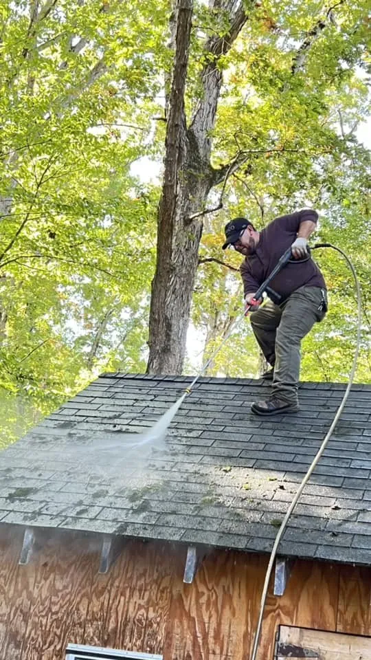 Reliable yard cleanup service with custom design in Manassas, VA by MH Quality Tree Care and Landscaping Service