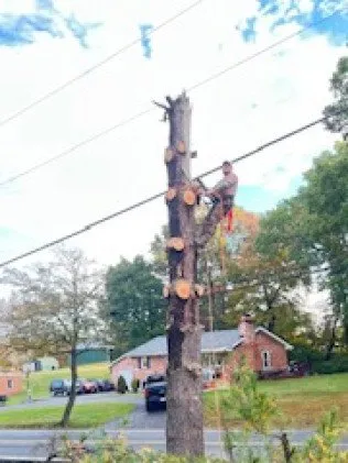 Local landscape installation experts serving Manassas, VA - MH Quality Tree Care and Landscaping Service