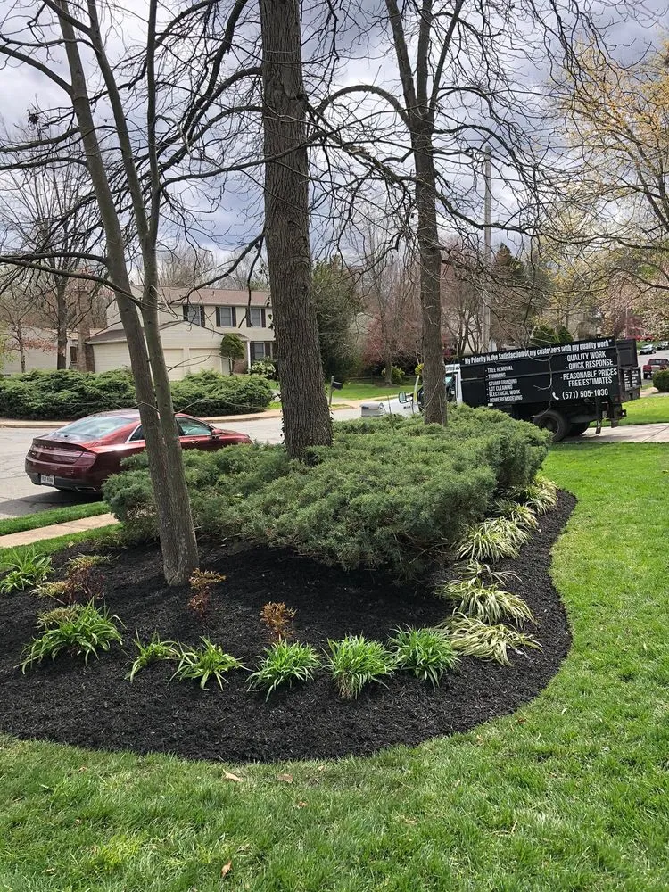 Top-rated yard maintenance in Manassas, VA - MH Quality Tree Care and Landscaping Service