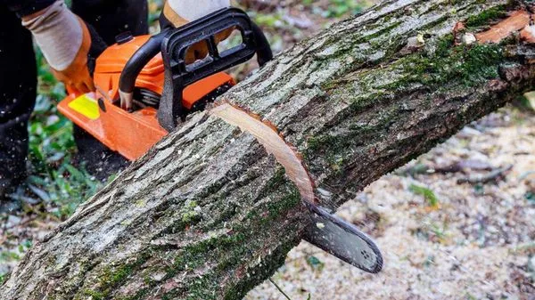 MH Quality Tree Care and Landscaping Service Logo