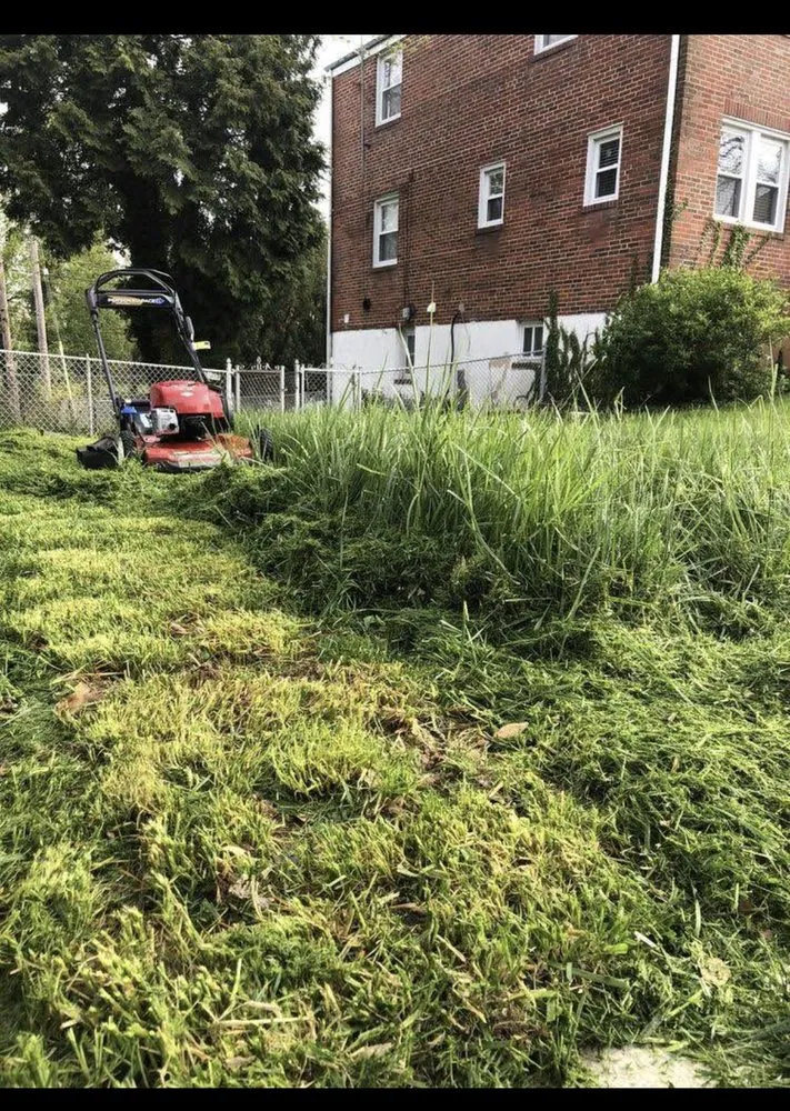 Local outdoor landscaping for outdoor upgrades in Baltimore, MD by Mh Vision Celestial