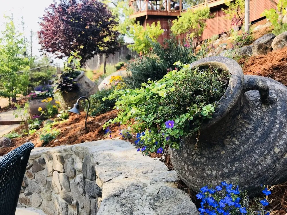 Local outdoor landscaping in San Rafael, CA - MHA Creative Landscapes