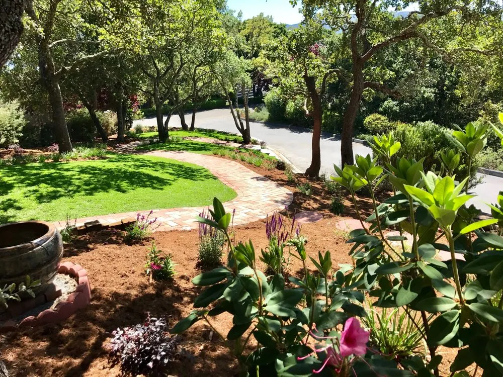 Reliable lawn care service for residential properties in San Rafael, CA by MHA Creative Landscapes