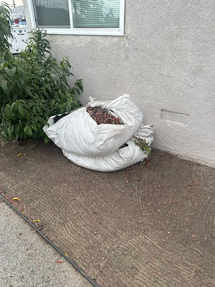 Local lawn care service in Bellflower, CA by MHP