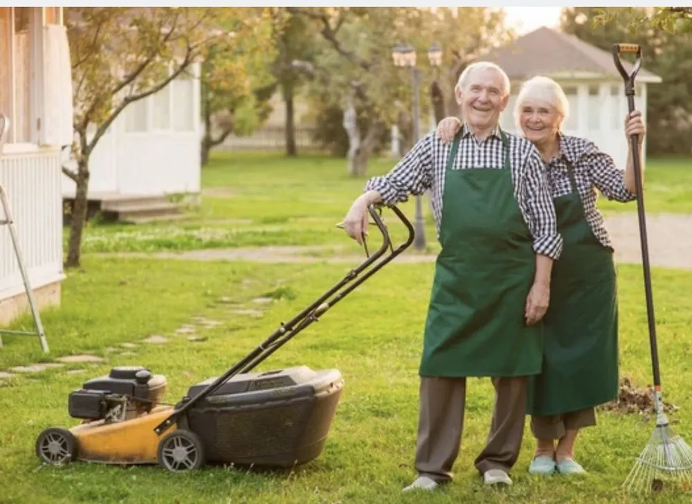 Expert residential landscaping experts serving Bellflower, CA - MHP