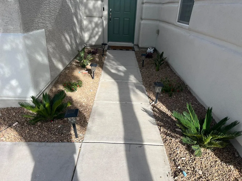 Trusted yard cleanup service in Las Vegas, NV - MHT Cleaning Service And Landscaping