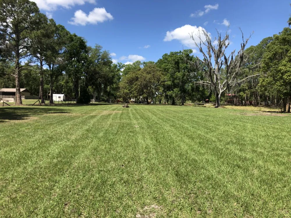 Trusted landscaping services experts serving Zephyrhills, FL - Mi Casa Tu Casa Land Care