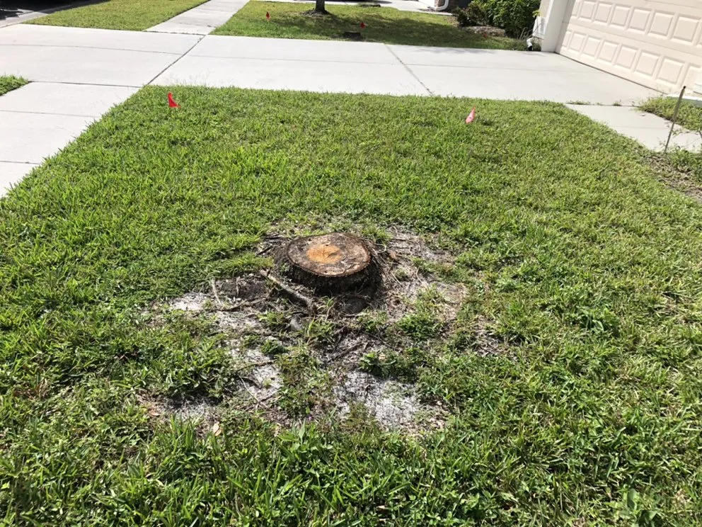 Custom landscaping services in Zephyrhills, FL - Mi Casa Tu Casa Land Care