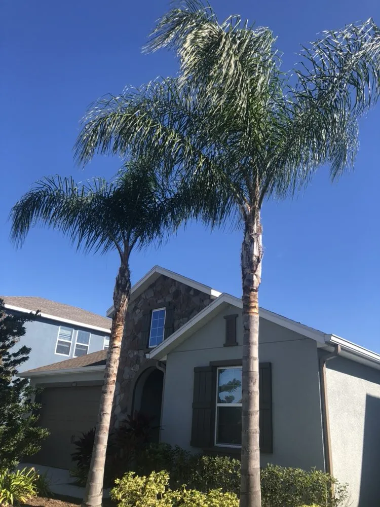 Top-rated landscape design in Zephyrhills, FL - Mi Casa Tu Casa Land Care