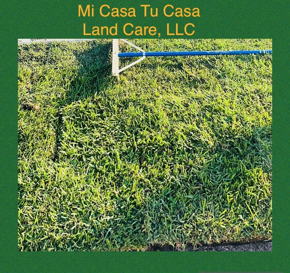 Professional landscape design for outdoor upgrades across Zephyrhills, FL - Mi Casa Tu Casa Land Care