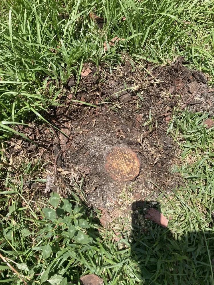 Professional yard maintenance experts serving Zephyrhills, FL - Mi Casa Tu Casa Land Care