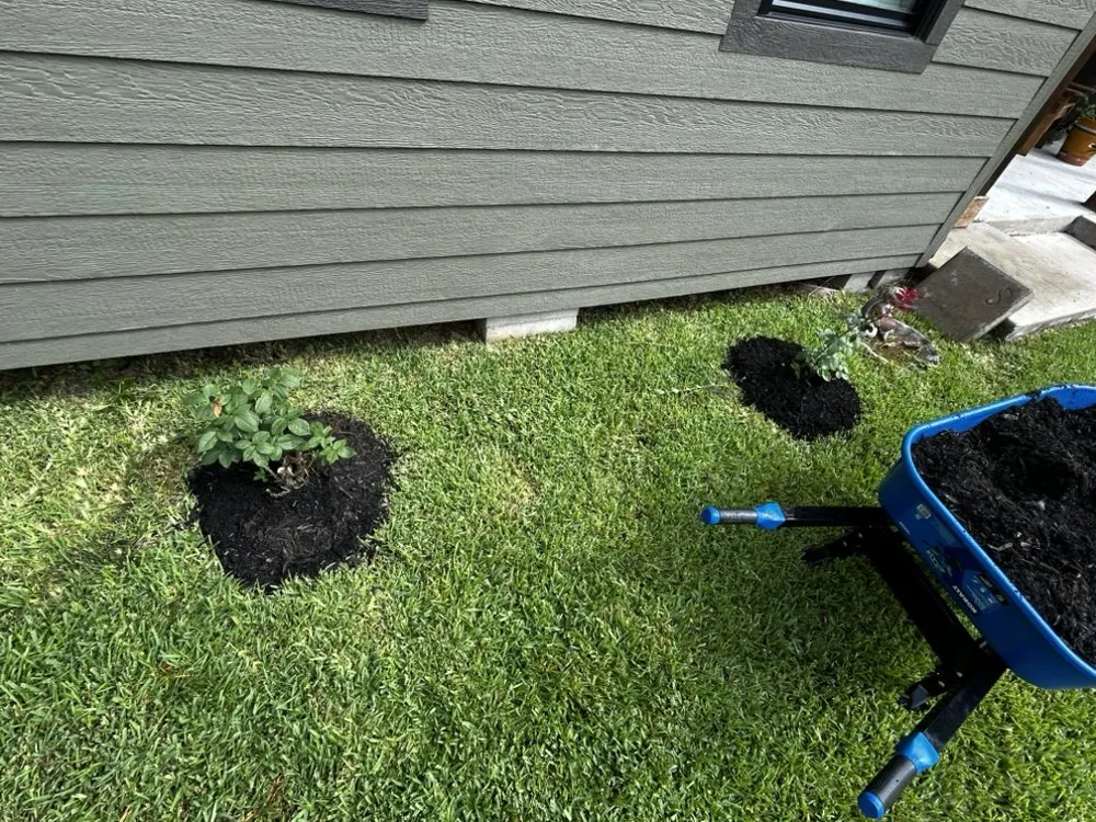 Expert outdoor landscaping in Navasota, TX by Mi Familia Lawn & Landscaping
