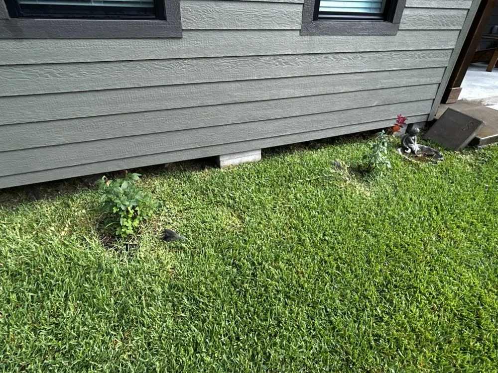 Custom residential landscaping for residential properties across Navasota, TX - Mi Familia Lawn & Landscaping