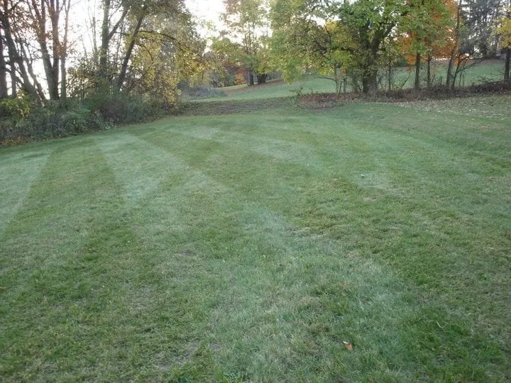 Custom landscape installation in Jonesville, MI by MI Green Outdoor Maintenance