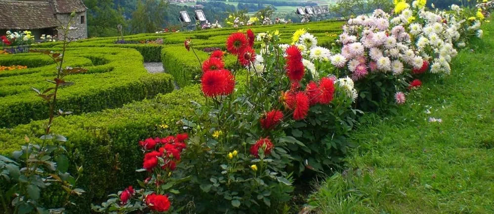 Top-rated lawn mowing service in Richmond, VA - Mi Jalisco Landscaping