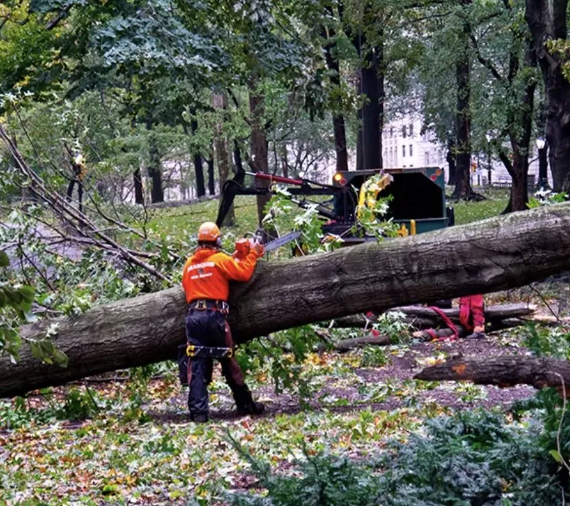 Affordable landscape design in Richmond, VA - Mi Jalisco Landscaping