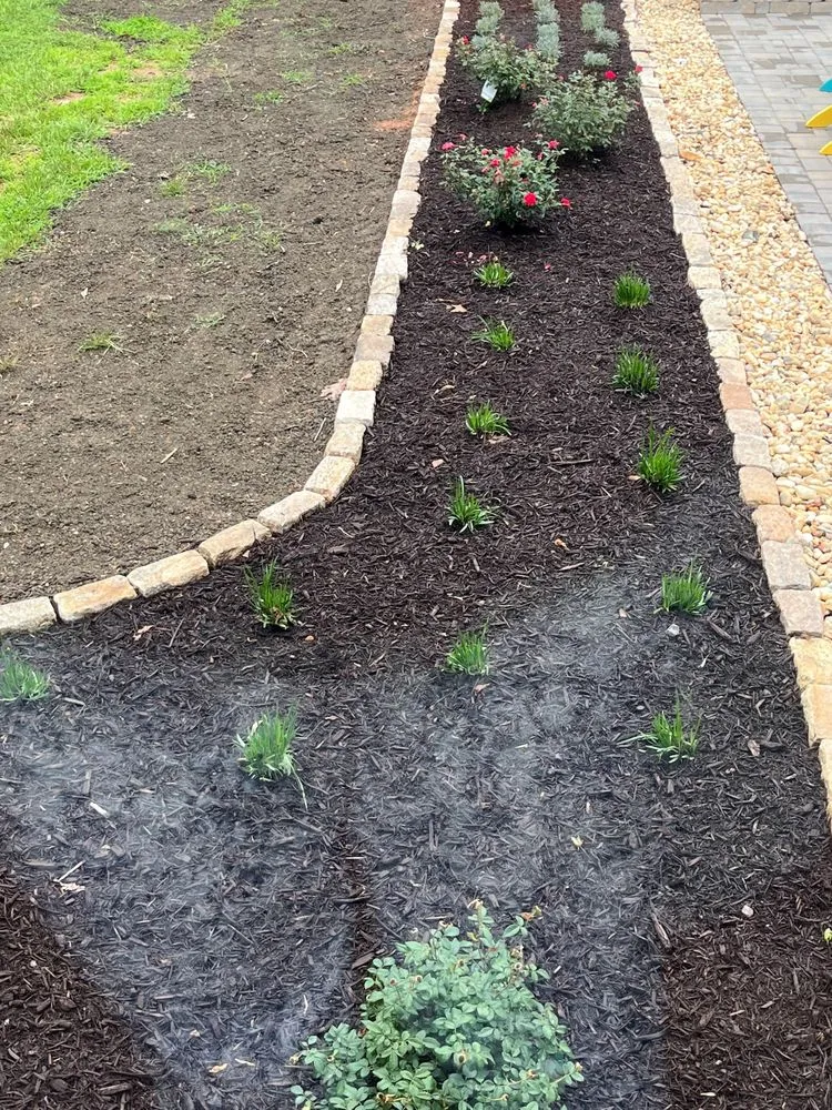 Trusted yard maintenance for homes across Richmond, VA - Mi Jalisco Landscaping