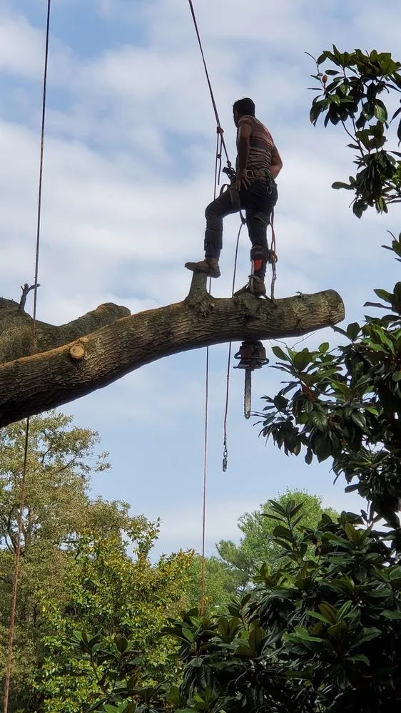 Professional yard maintenance experts serving Richmond, VA - Mi Jalisco Landscaping