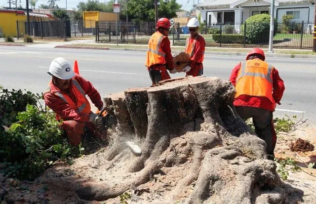 Local landscaping services for homes across Richmond, VA - Mi Jalisco Landscaping