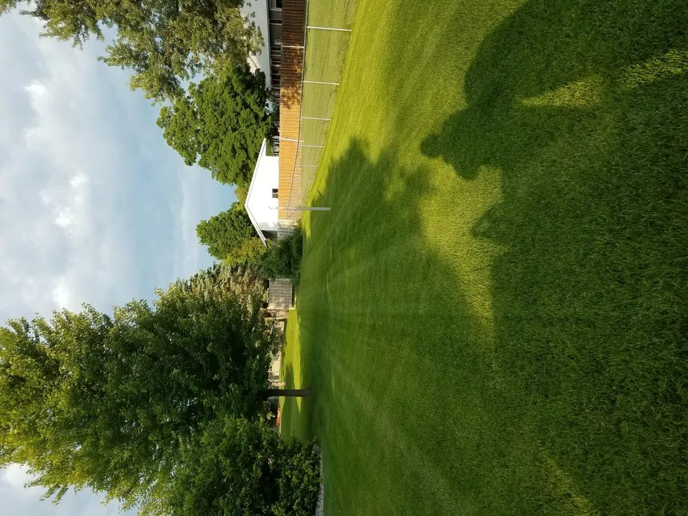 Top-rated yard cleanup service experts serving Gaylord, MI - MI Landscape 45