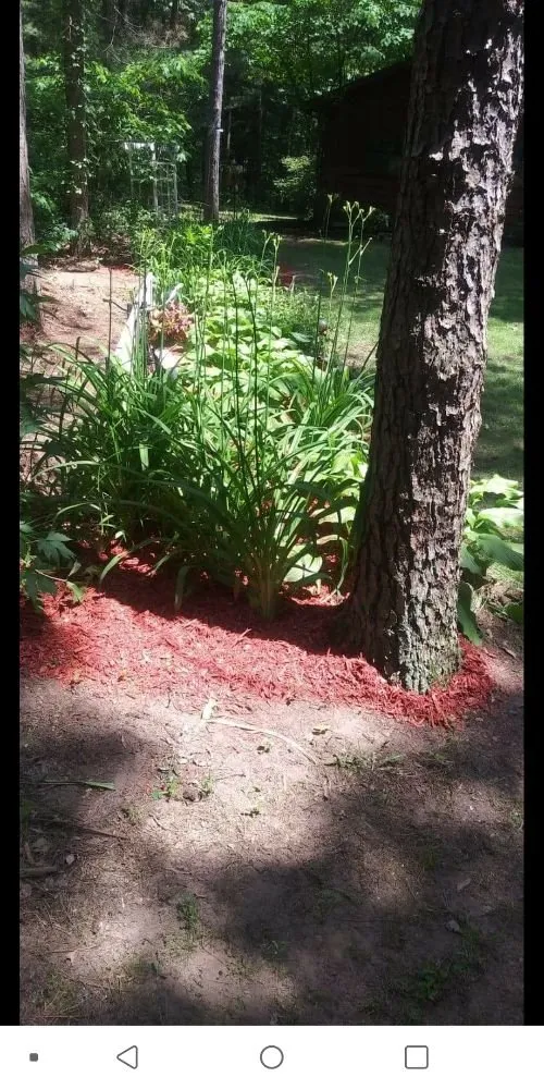 Affordable yard maintenance for beautiful yards across Newaygo, MI - MI Landscape Guy