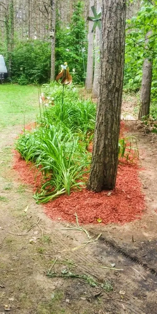 Professional yard cleanup service in Newaygo, MI - MI Landscape Guy