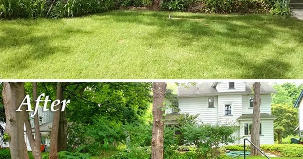Local lawn care service in Newaygo, MI by MI Landscape Guy