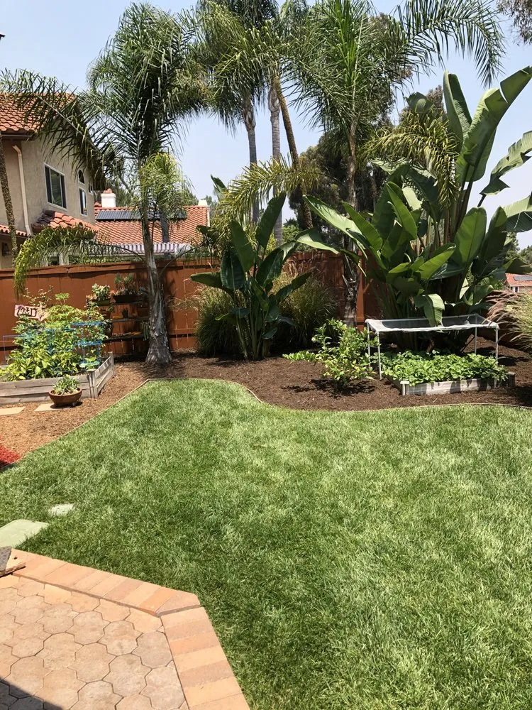 Expert residential landscaping in Vista, CA by M&I Landscaping