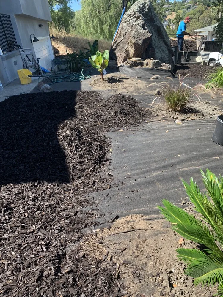 Reliable landscape installation for year-round maintenance in Emerald Hills, CA by Mi Monarca Landscaping