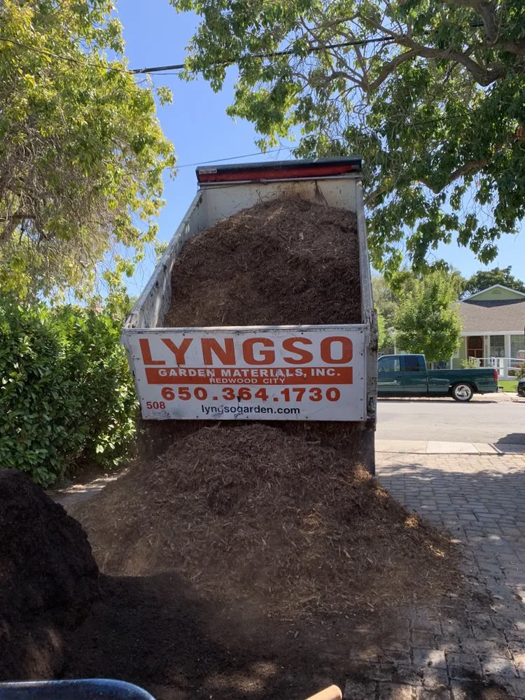 Local lawn care service experts serving Emerald Hills, CA - Mi Monarca Landscaping