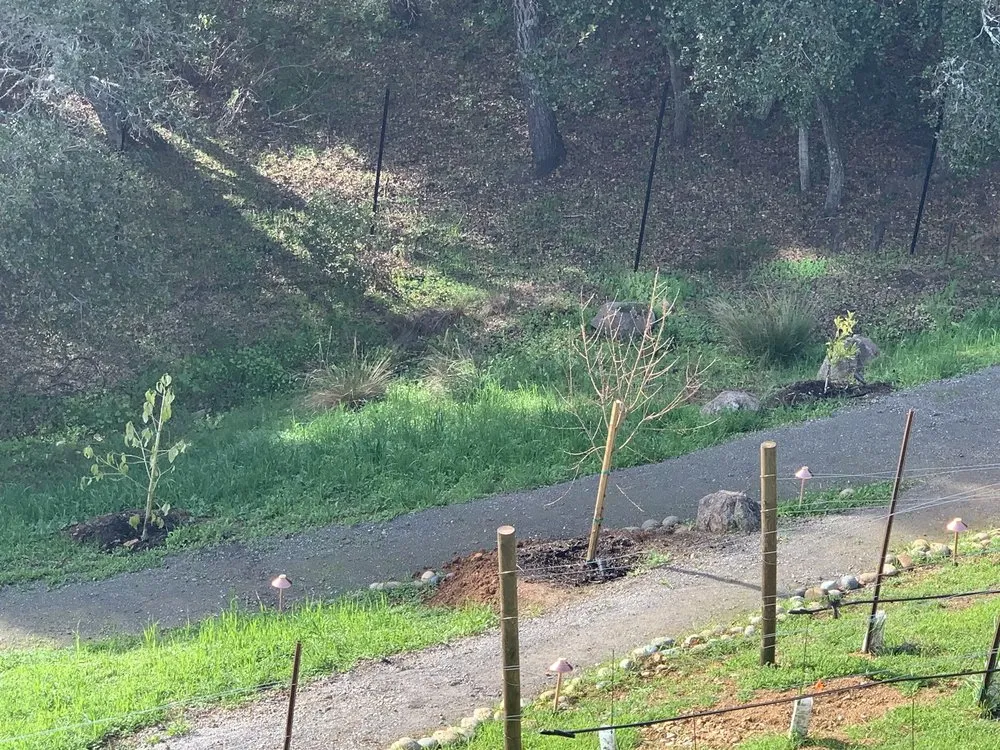 Expert lawn care service experts serving Emerald Hills, CA - Mi Monarca Landscaping